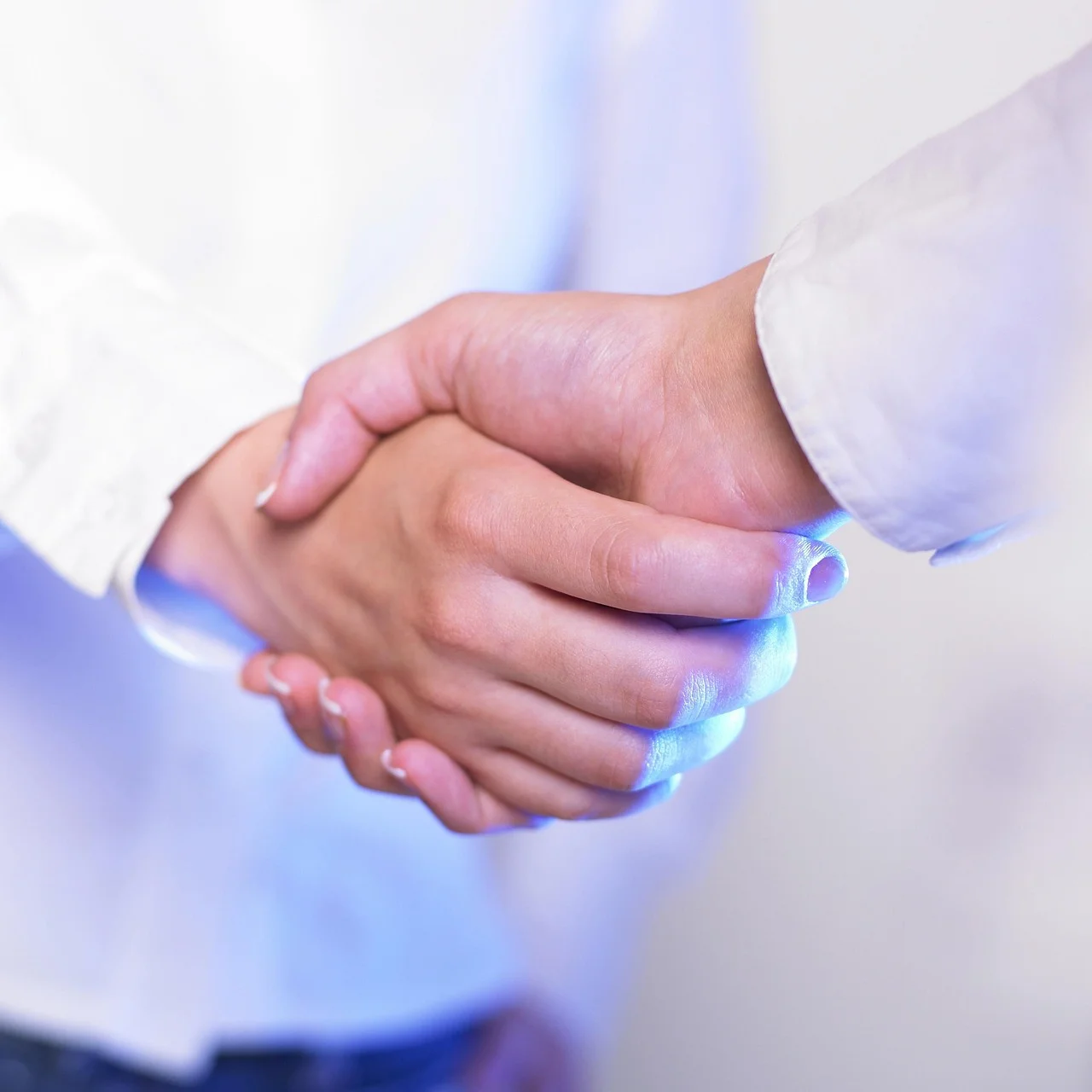 Business professionals shaking hands to finalize a software agreement